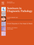Updates on lymphoblastic leukemia/lymphoma classification and minimal/measurable residual disease analysis