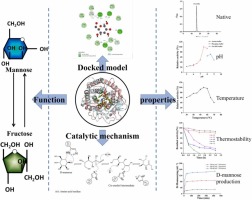 Characterization of a novel recombinant D-mannose isomerase from Bifidobacterium bifidum and its catalytic mechanism