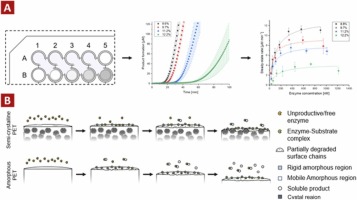 Enzymatic degradation of poly(ethylene terephthalate) (PET): Identifying the cause of the hypersensitive enzyme kinetic response to increased PET crystallinity