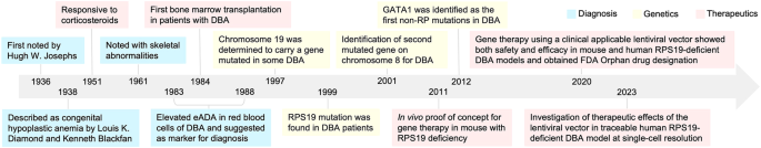 Perspectives of current understanding and therapeutics of Diamond-Blackan anemia