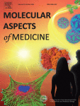 Gene therapies and gene product-based drug candidates for normalizing and preserving tissue functions in animal models of ocular hypertension and glaucoma