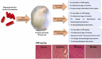 Evaluation of acute, subacute, and subchronic toxicity of a hepatoprotective herbal formulation
