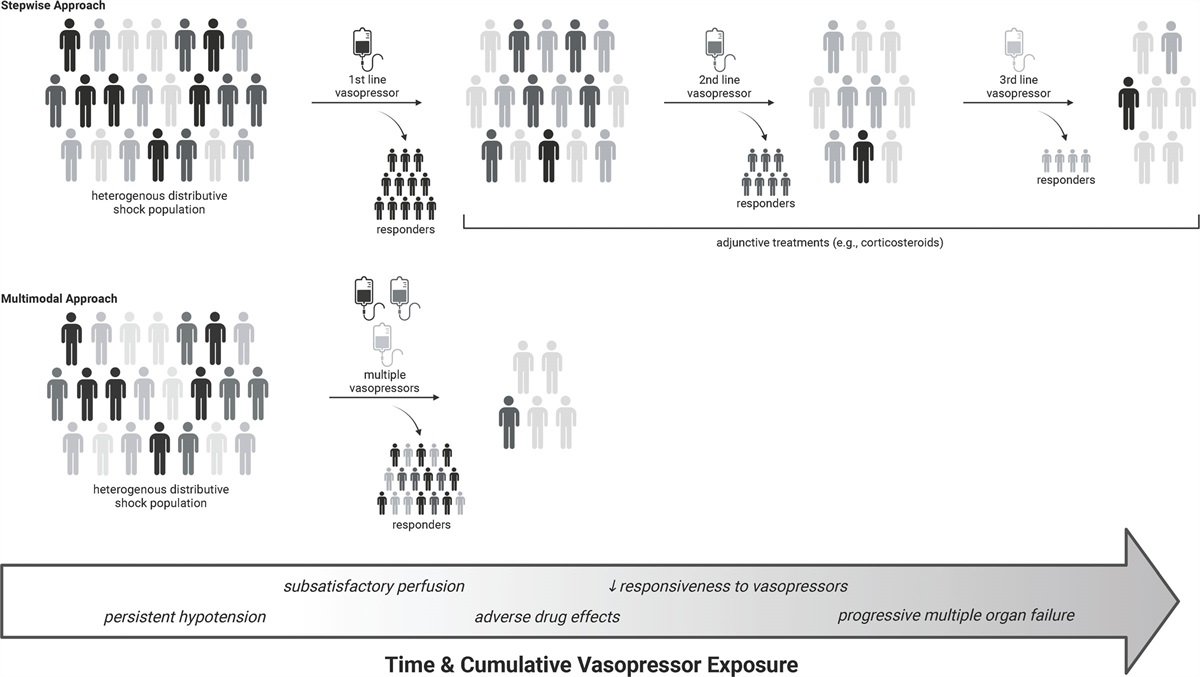 Is It Time to Reconsider the Concept of “Salvage Therapy” in Refractory Shock?*