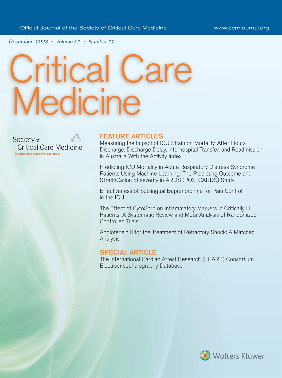 Measuring Strain in the ICU*