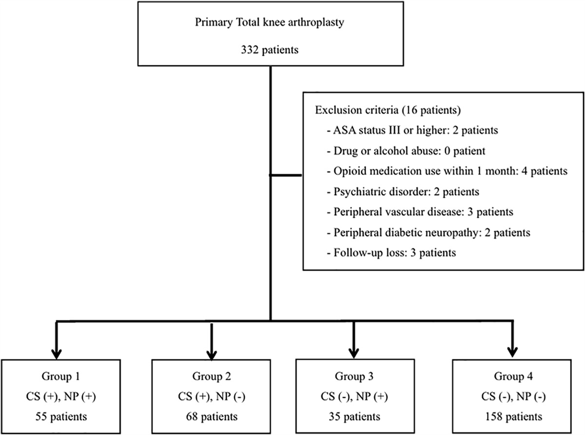 Central Sensitization and Neuropathic Pain Cumulatively Affect Patients Reporting Inferior Outcomes Following Total Knee Arthroplasty