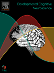 Developmental coupling of brain iron and intrinsic activity in infants during the first 150 days