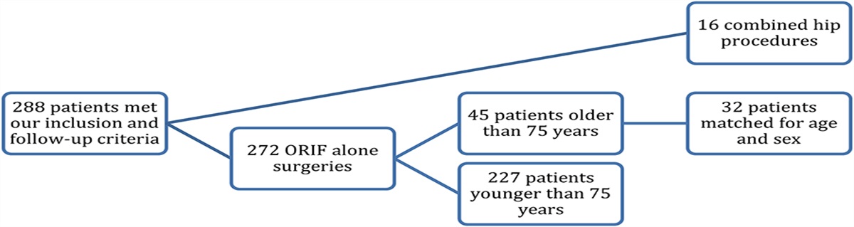 Combined Hip Procedure Versus Open Reduction and Internal Fixation for Displaced Acetabular Fractures in Patients Older than 75 years: A Matched Cohort Study