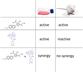 Single and combination treatment of Toxoplasma gondii infections with a bumped kinase inhibitor and artemisone in vitro and with artemiside in experimentally infected mice