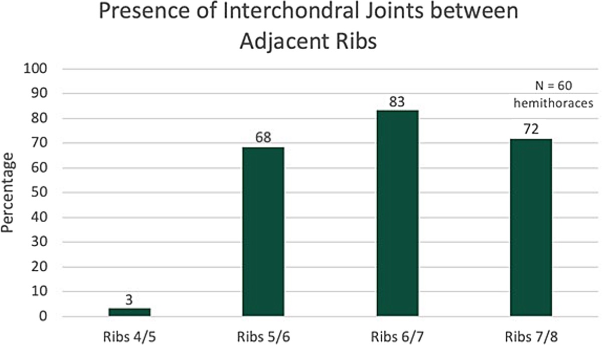 Anatomy of the anterior ribs and the composition of the costal margin: A cadaver study