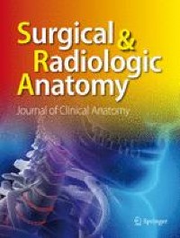 Anterolateral surgical triangle of the cavernous sinus: a cadaveric study of neurosurgical importance
