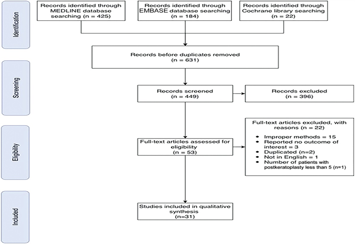 Safety and efficacy of a laser refractive procedure in eyes with previous keratoplasty: systematic review and meta-analysis