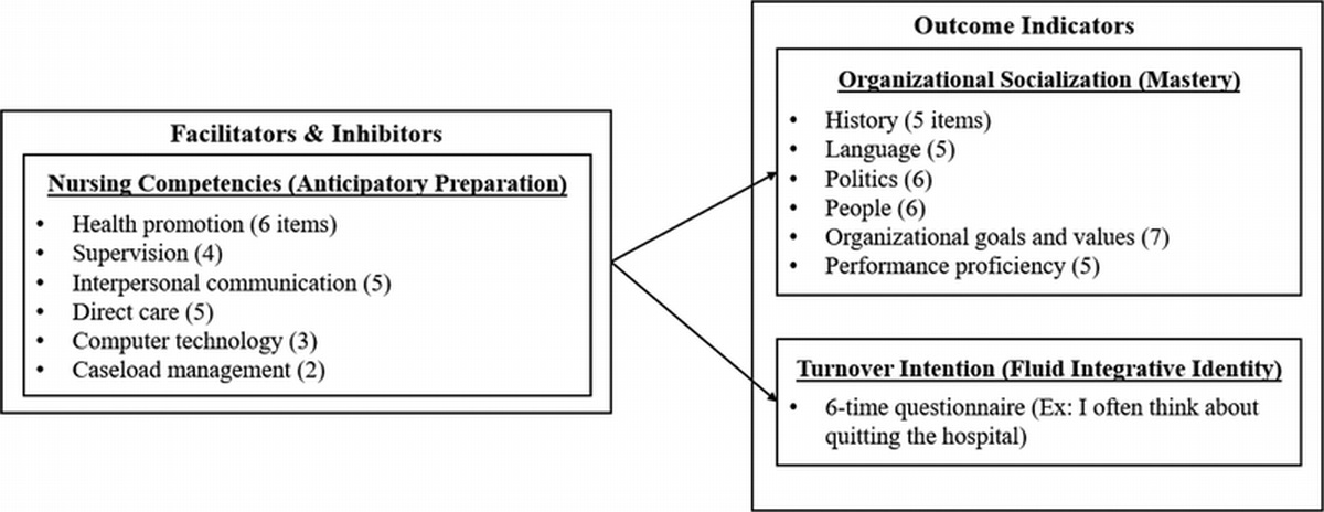New Graduate Nurses' Competencies, Organizational Socialization, and Turnover Intention