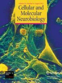 A Perfused In Vitro Human iPSC-Derived Blood–Brain Barrier Faithfully Mimics Transferrin Receptor-Mediated Transcytosis of Therapeutic Antibodies
