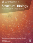 Cryo-electron ptychography: Applications and potential in biological characterisation