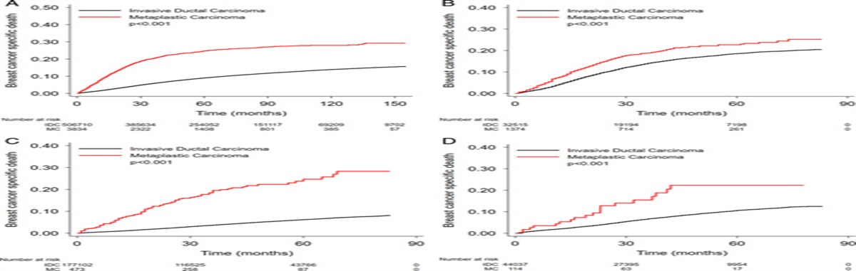 Metaplastic Breast Carcinoma: Clinicopathologic Features and Recurrence Score Results From a Population-based Database