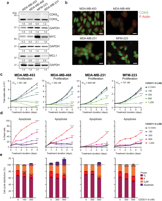 Selective inhibition of CDK9 in triple negative breast cancer