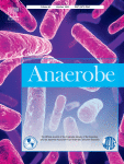 Brain abscess caused by Porphyromonas gingivalis and Eubacterium nodatum mimicking acute stroke