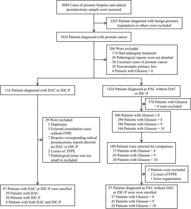 High GLUT1 membrane expression and low PSMA membrane expression in Ductal Adenocarcinoma and Intraductal Carcinoma of the prostate