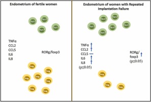 Title: Repeated implantation failure is associated with increased Th17/Treg cell ratio, during the secretory phase of the human endometrium
