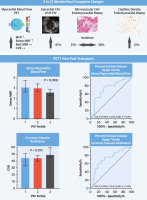 Cardiac PET Myocardial Blood Flow Quantification Assessment of Early Cardiac Allograft Vasculopathy