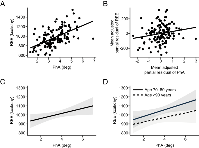 Association of resting energy expenditure with phase angle in hospitalized older patients: a cross-sectional analysis