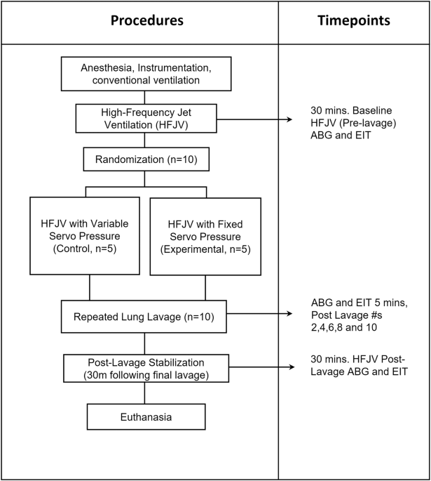 Evaluation of lung volumes and gas exchange in surfactant-deficient rabbits between variable and fixed servo pressures during high-frequency jet ventilation