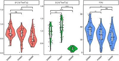 Associations between microstructural tissue changes, white matter hyperintensity severity, and cognitive impairment: an intravoxel incoherent motion imaging study