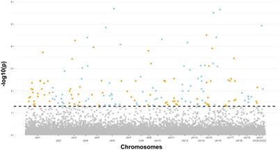 Exploring epigenetic drift and rare epivariations in amyotrophic lateral sclerosis by epigenome-wide association study