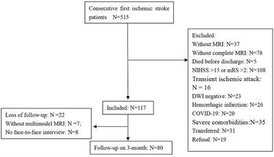 Larger deep white matter hyperintensity volume correlates with more severe social behavioral changes in patients with subacute ischemic stroke