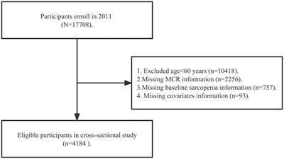 Associations of sarcopenia, sarcopenia parameters and motoric cognitive risk syndrome in Chinese older adults