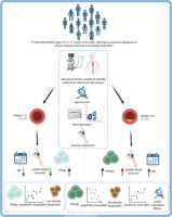 Subpopulations of regulatory T cells are associated with subclinical atherosclerotic plaques, levels of LDL, and cardiorespiratory fitness in the elderly