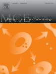 Temperature- and genotype-dependent stress response and activation of the hypothalamus-pituitary-interrenal axis during temperature-induced sex reversal in pejerrey Odontesthes bonariensis, a species with genotypic and environmental sex determination