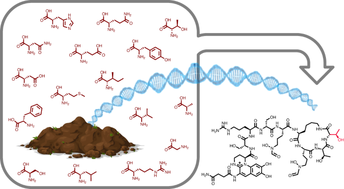 Metagenomic domain substitution for the high-throughput modification of nonribosomal peptides