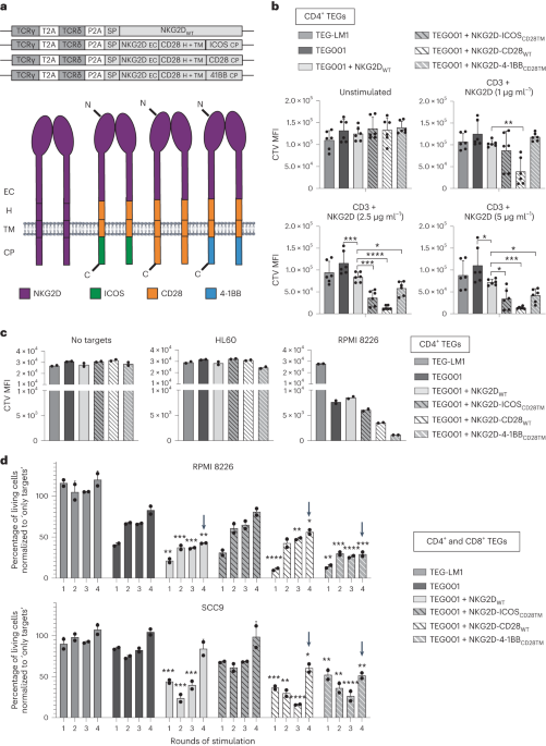 Dual targeting of cancer metabolome and stress antigens affects transcriptomic heterogeneity and efficacy of engineered T cells