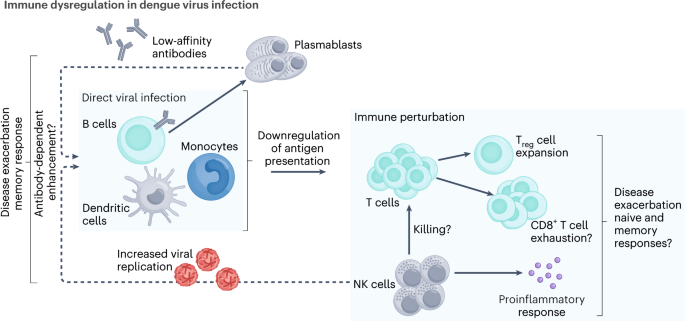 Severe dengue progression beyond enhancement