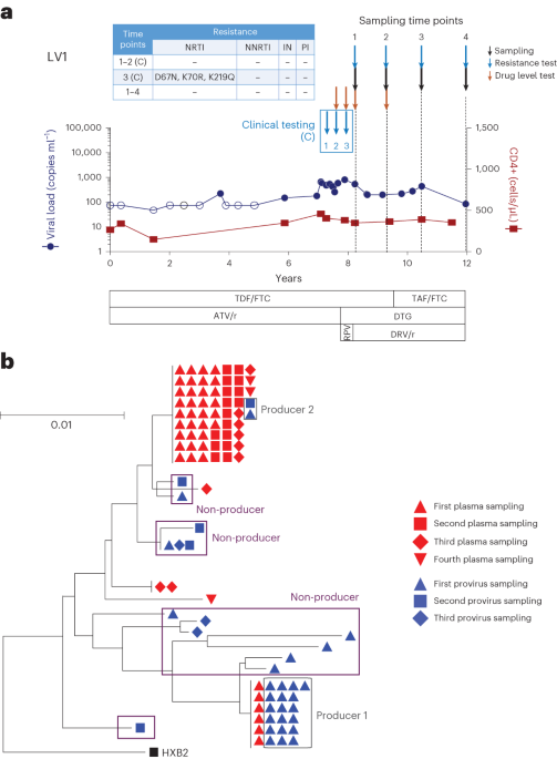 Viral, cellular and immune aspects of non-suppressible HIV-1 viremia