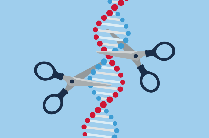 Mouse genome rewriting with human DNA for disease modelling