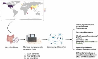 Combined analysis of cross-population healthy adult human microbiome reveals consistent differences in gut microbial characteristics between Western and non-Western countries