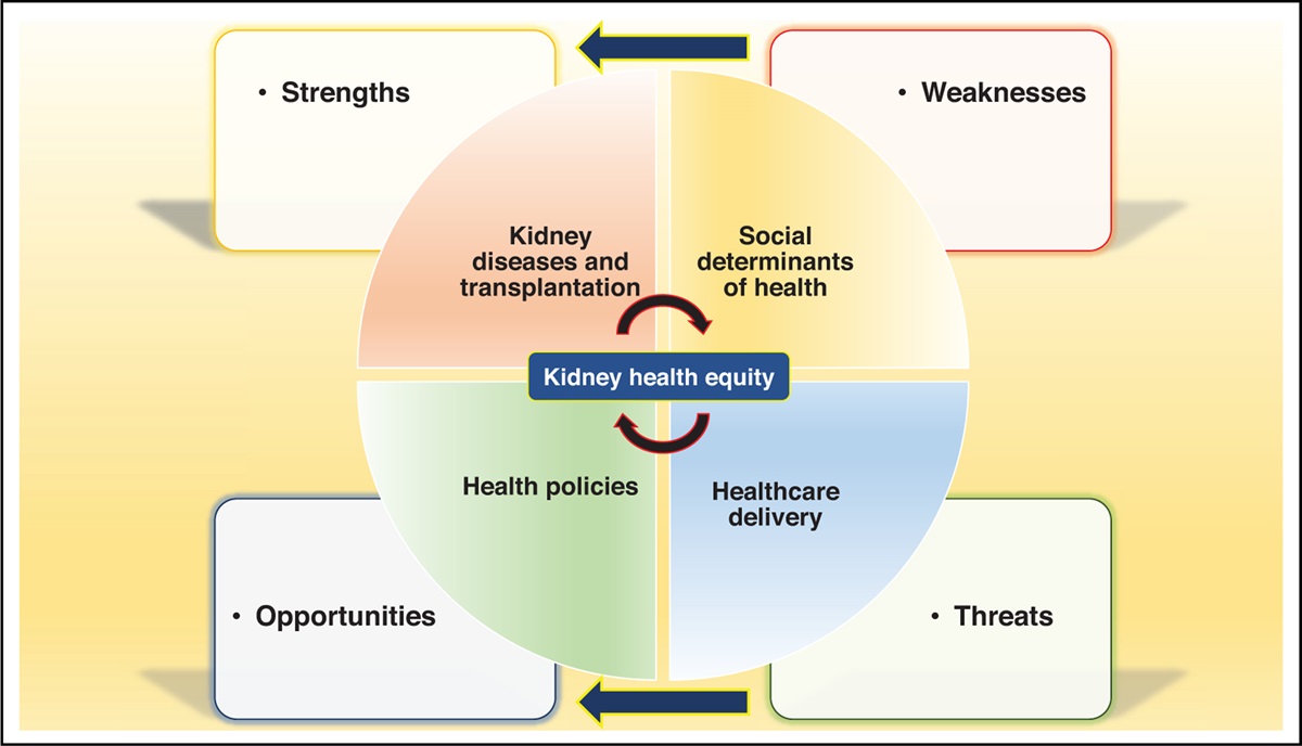 Tackling the intersectoral challenges in kidney diseases and transplantation: shared decision and realistic care for advanced diagnostic and therapeutic modalities for kidney diseases and transplantation