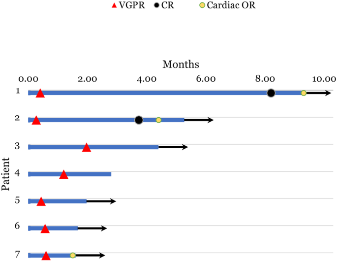 Safety and efficacy of teclistamab in systemic immunoglobulin light chain amyloidosis