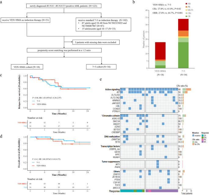 Venetoclax plus hypomethylating agents in newly diagnosed acute myeloid leukemia patients with RUNX1::RUNX1T1: a retrospective propensity score matching study