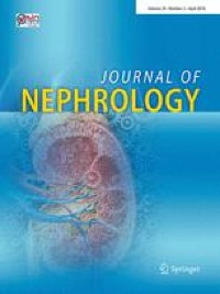 Renal perivasculitis induced by sulfasalazine