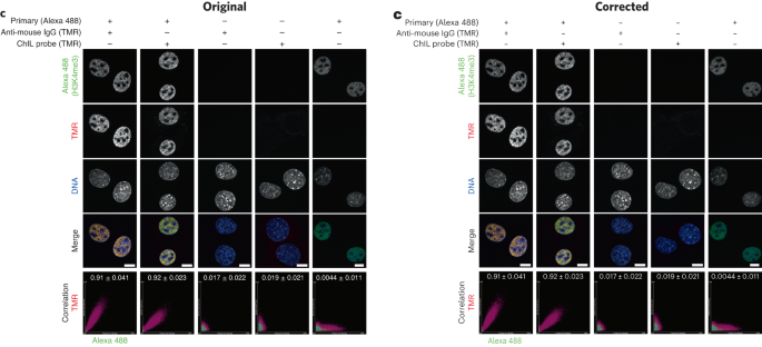 Author Correction: Chromatin integration labeling for mapping DNA-binding proteins and modifications with low input