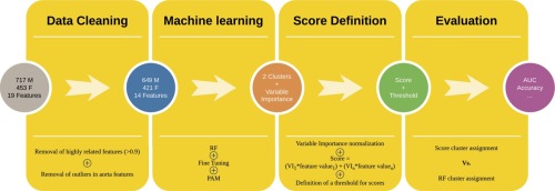 Unsupervised Machine Learning for Risk Stratification and Identification of Relevant Subgroups of Ascending Aorta Dimensions Using Cardiac CT and Clinical Data