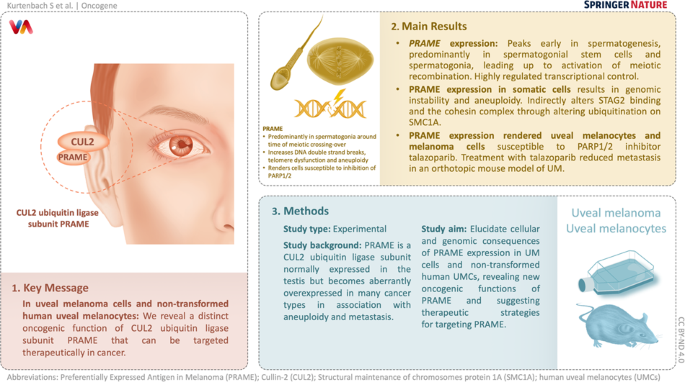 PRAME induces genomic instability in uveal melanoma