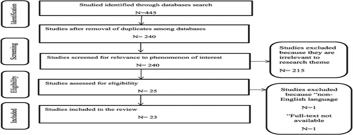 Health Literacy Among Patients With Acute Coronary Artery Diseases: Predictors, Consequences, and Enhancing Strategies: A Review of the Literature