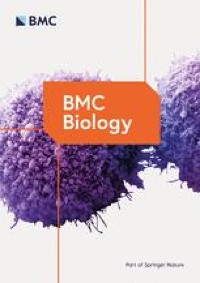 Lipid bilayer properties potentially contributed to the evolutionary disappearance of betaine lipids in seed plants