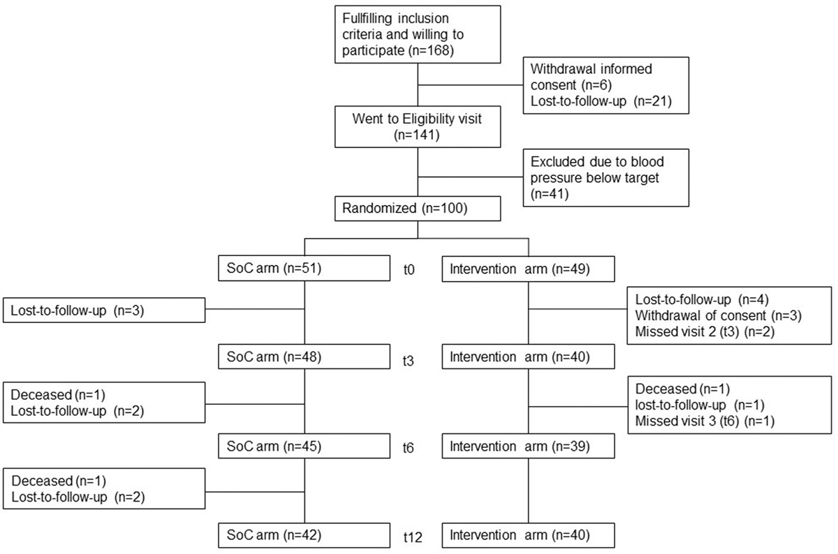 Antihypertensive drug concentration measurement combined with personalized feedback in resistant hypertension: a randomized controlled trial