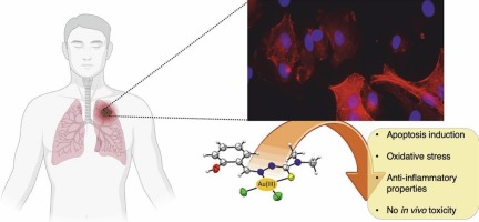 Gold(III) complexes with thiosemicarbazone ligands: insights into their cytotoxic effects on lung cancer cells