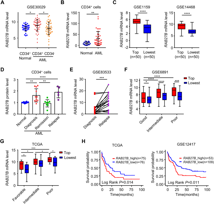 RAB27B-regulated exosomes mediate LSC maintenance via resistance to senescence and crosstalk with the microenvironment